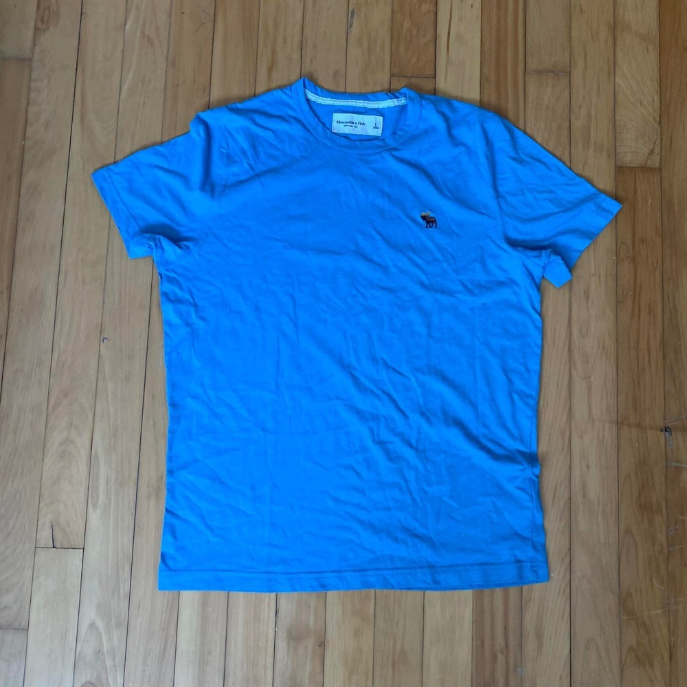 Abercrombie Fitch Mens Blue Short Sleeve Crew Neck T Shirt Size Large Logo